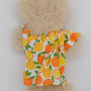 Oranges dress